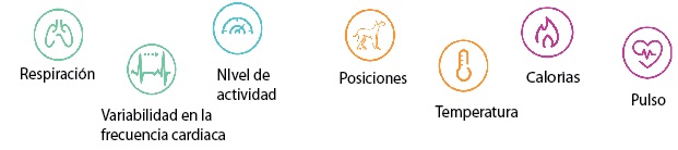 parametros petpae