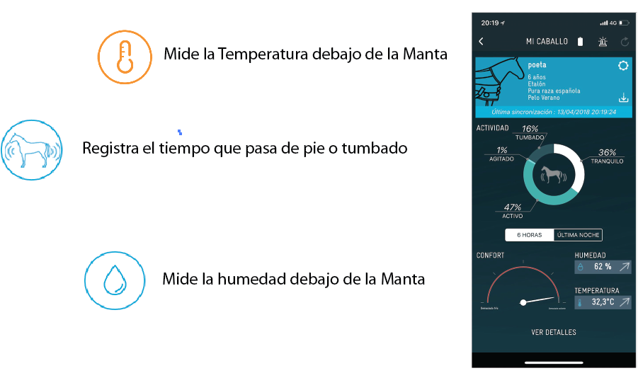 web orcana